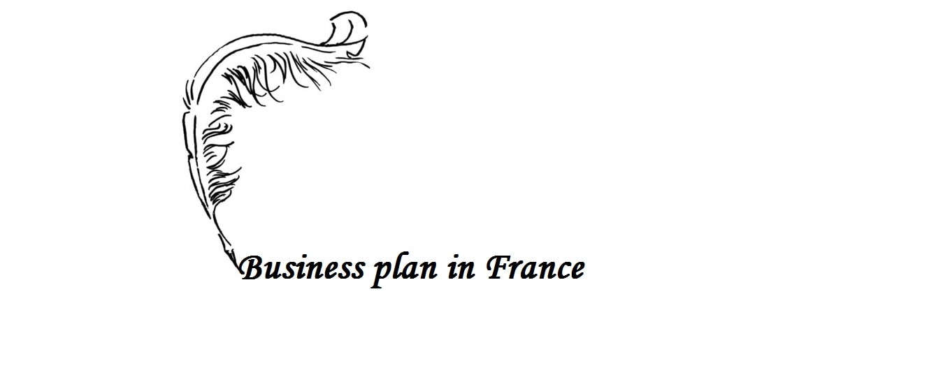 Business Plan in France