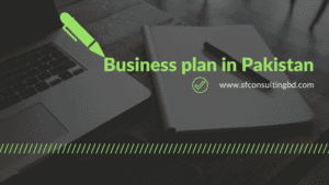 business plan for pakistan