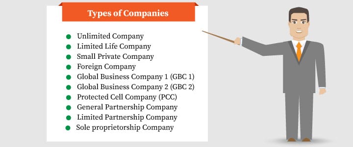 Types of companies in Mauritius