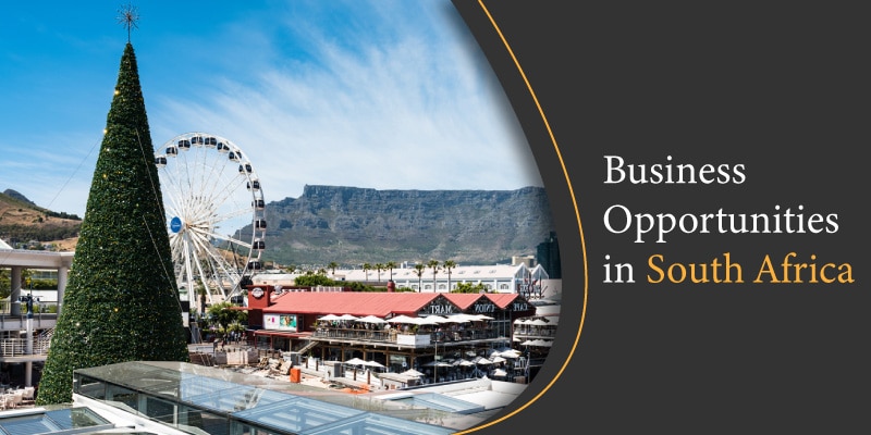 Business Opportunities in South Africa