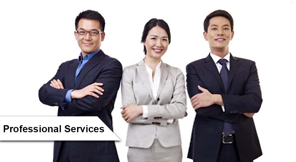 Professional Service in Malaysia